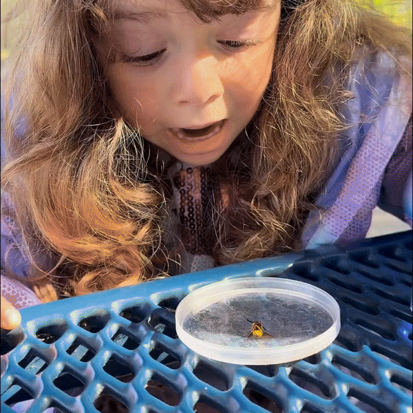 EchoAzure™ Miniscope  Perfect for families with multiple kids, grandkids, classrooms, and holiday gifting.