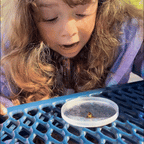 EchoAzure™ Miniscope  Perfect for families with multiple kids, grandkids, classrooms, and holiday gifting.